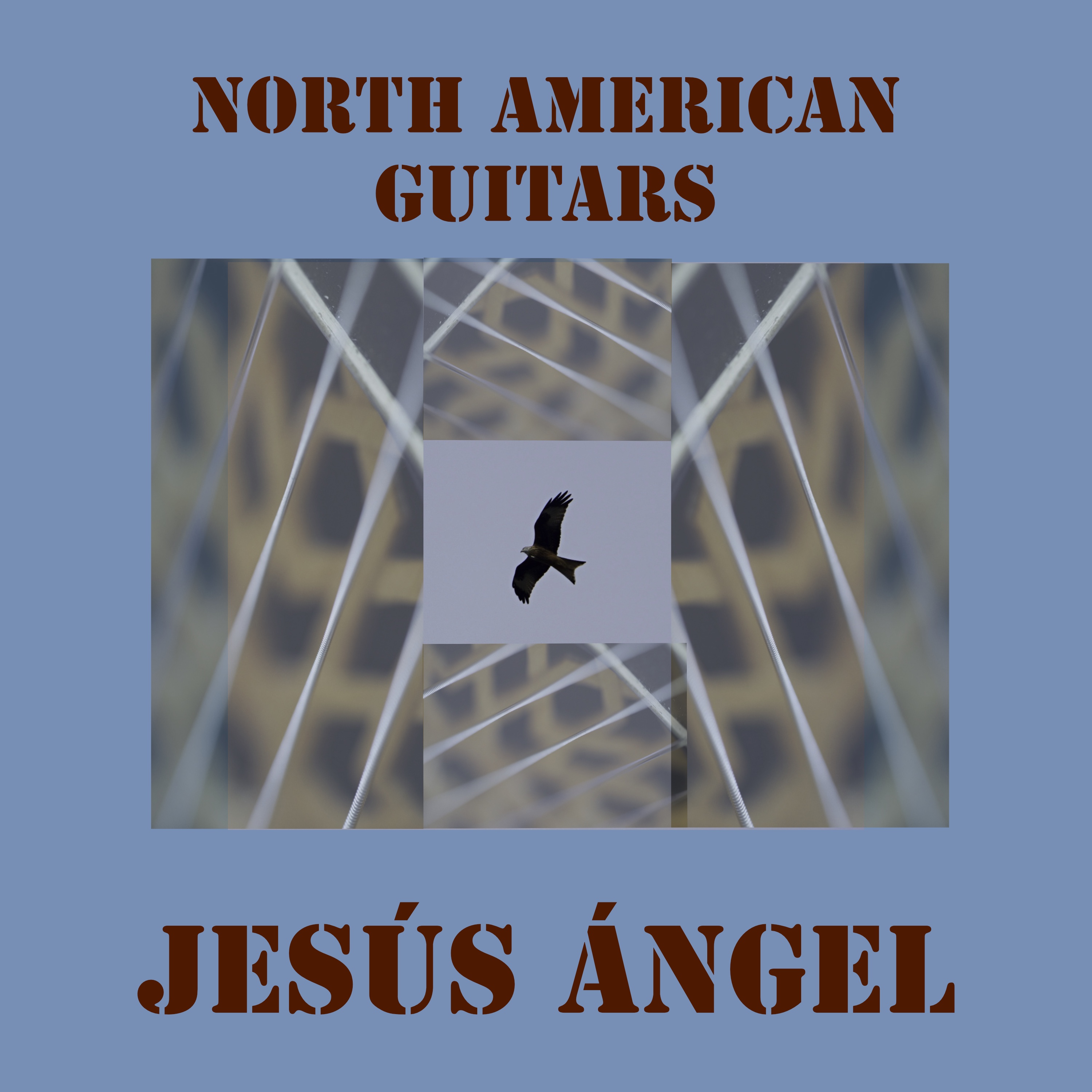 North American Guitars